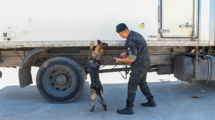 [VIDEO] Así entrenan a los canes del Servicio Penitenciario de Córdoba