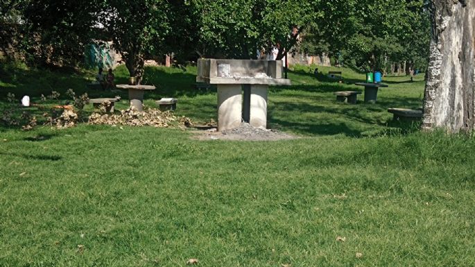 Quejas de vecinos por pastos altos en la Costanera, aunque el municipio informó estar trabajando
