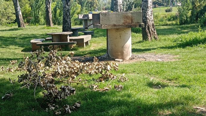Quejas de vecinos por pastos altos en la Costanera, aunque el municipio informó estar trabajando