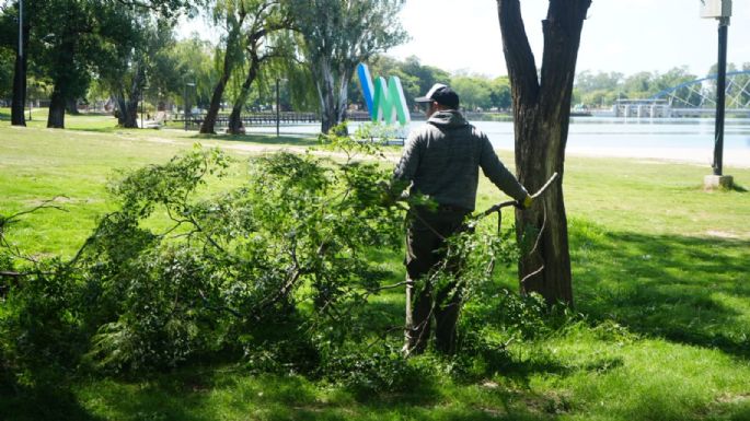 Quejas de vecinos por pastos altos en la Costanera, aunque el municipio informó estar trabajando
