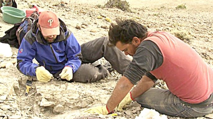 Hallan otro dinosaurio herbívoro