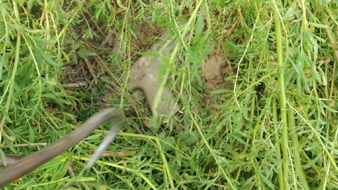 Encontraron un arma vinculada al asesinato de Daniel Martinengo