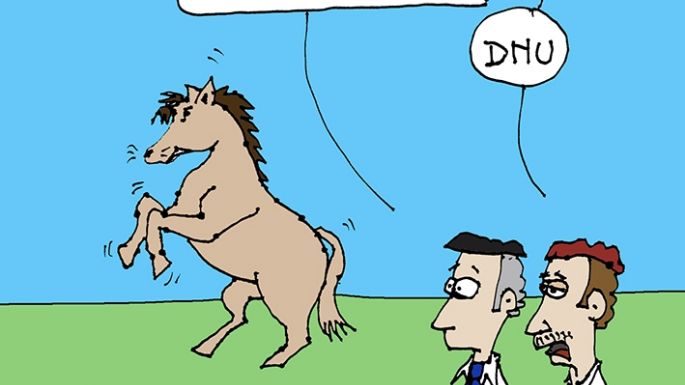 Humor 05/01/2024