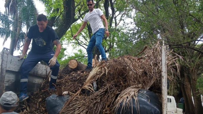Un árbol caído obstaculizaba una calle y el intendente Tagni se sumó a las tareas de extracción