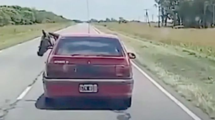 Un ocupante inesperado