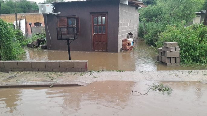 Comité de Emergencia para relevamientos