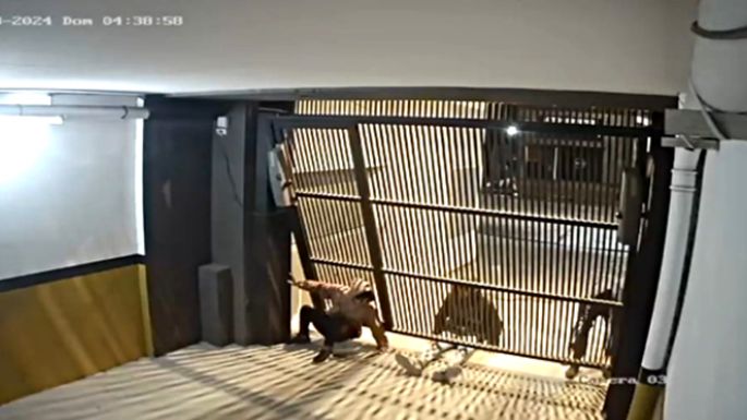 Robaron cuatro motos tras violentar un portón