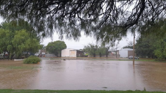Lluvia intensa: calles "como Venecia", casas inundadas y rescate de personas varadas