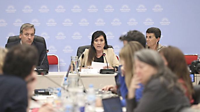 Diputados: dictaminan el texto que eleva las penas  por incendios intencionales