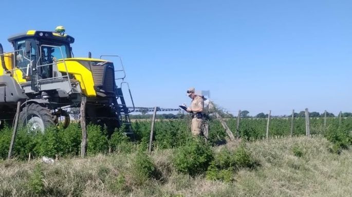 Denunciaron el uso de agroquímicos sin autorización en un campo