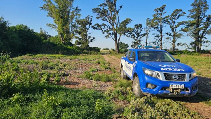 Dos detenidos por robar en un campo vecino