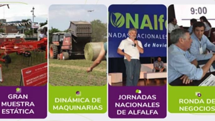 Muestra