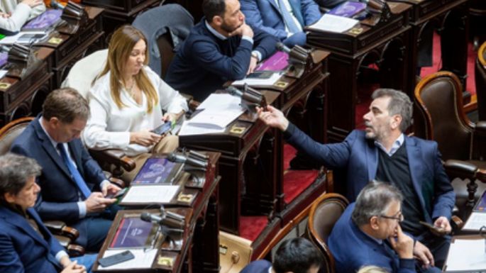 El PRO votará dividido en Diputados