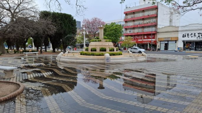 Reclamos por el derroche de agua en plaza Centenario