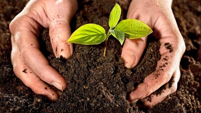 Realizarán la feria ambiental "Triniterra" en el Centro Favio