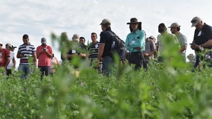 Sustentabilidad, más leche y carne
