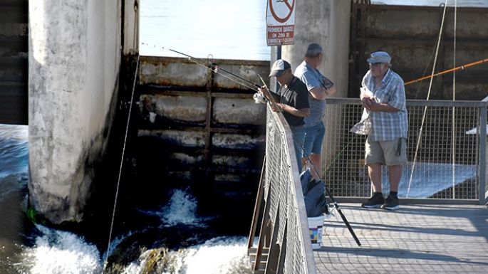 Reuniones apuntan a la pesca ilegal