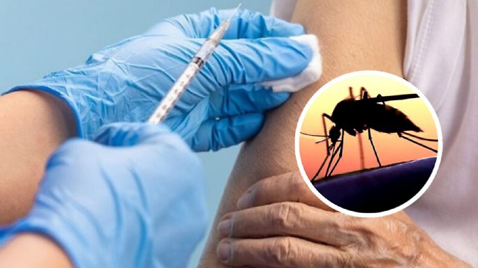 Vacuna contra el dengue