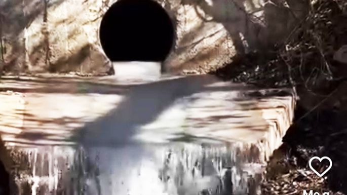 Investigan contaminación en el río