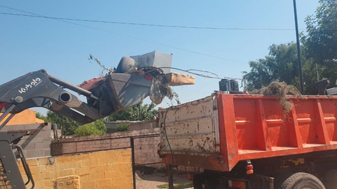 Sigue el operativo de limpieza contra el dengue