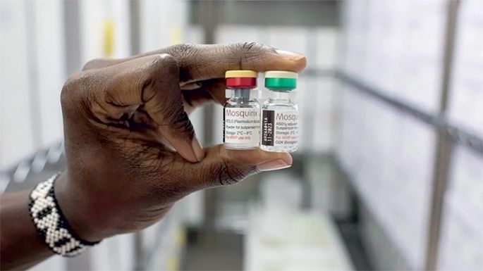 Médicos investigadores avanzan en la primera vacuna contra la malaria
