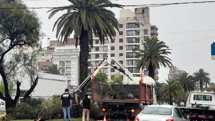 Arduo trabajo luego de la tormenta