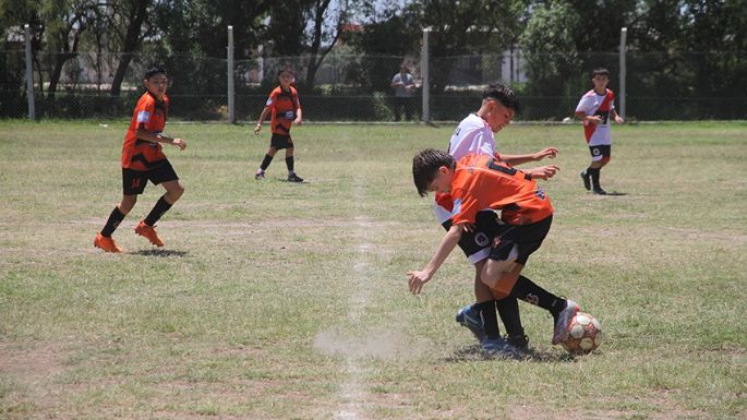 Más títulos para la región