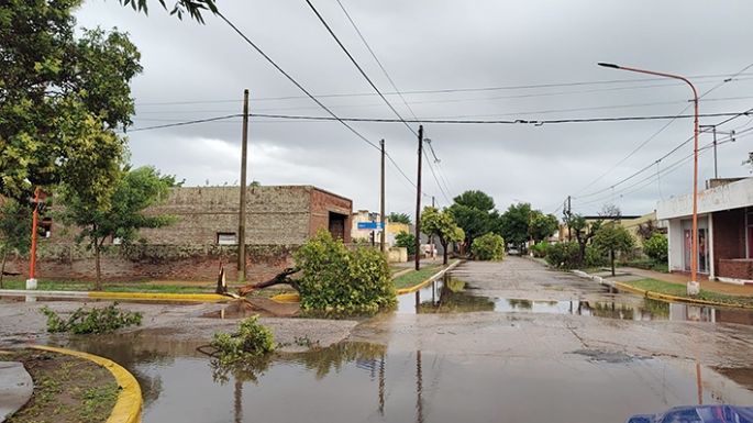 Azotada por el viento