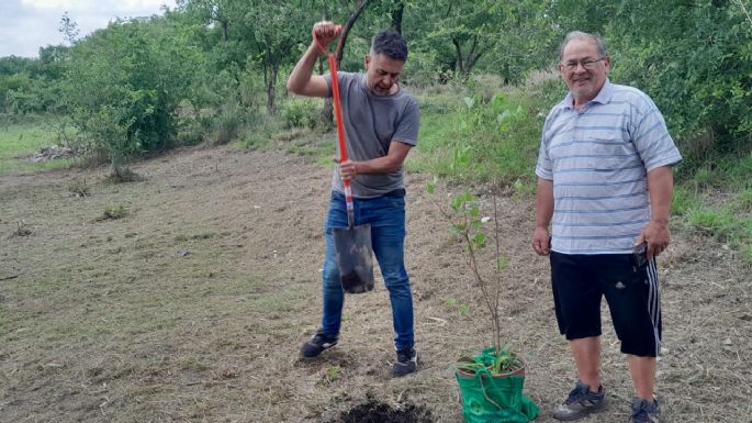 El municipio inició la creación de un bosque nativo