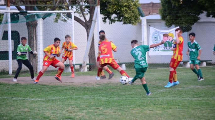 Cuatro finalistas confirmados