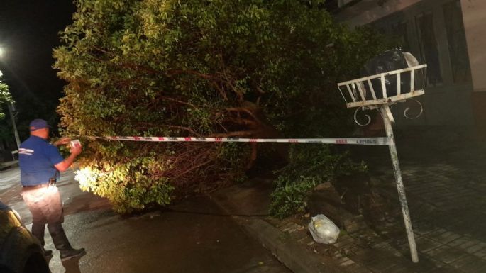 Intensos trabajos en la ciudad para restablecer la normalidad luego de la tormenta