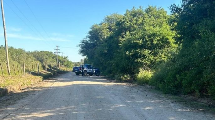 Una mujer de 33 años murió al colisionar contra un árbol