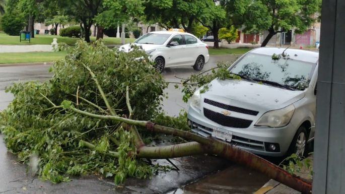 [Fotos] La tormenta ocasionó daños en la ciudad