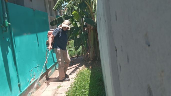 Tareas de fumigación en el pueblo