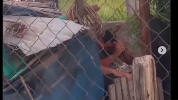 Grave denuncia por maltrato animal: mató a mazazos a un perro y quedó filmado