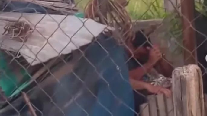 Dos detenidos por asesinar a un perro a mazazos
