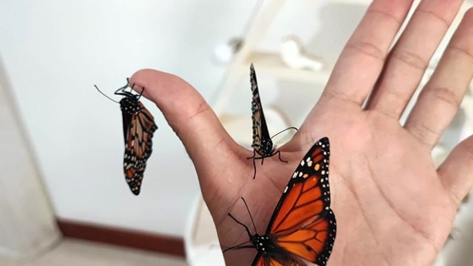 Taller de mariposas en el Parque Tau