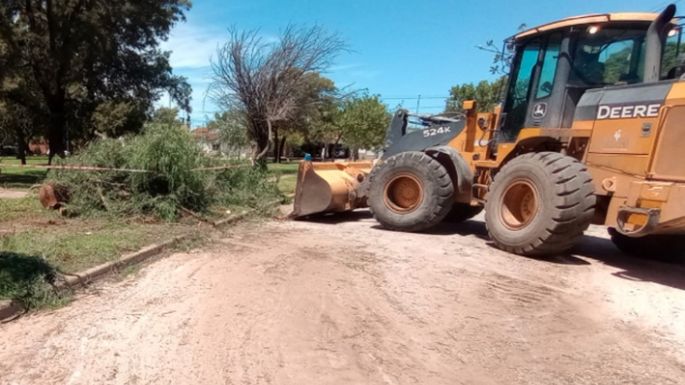 Teléfonos útiles