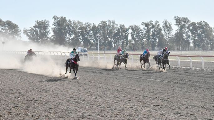 Turf y trote se unen para realizar un programa con 17 carreras