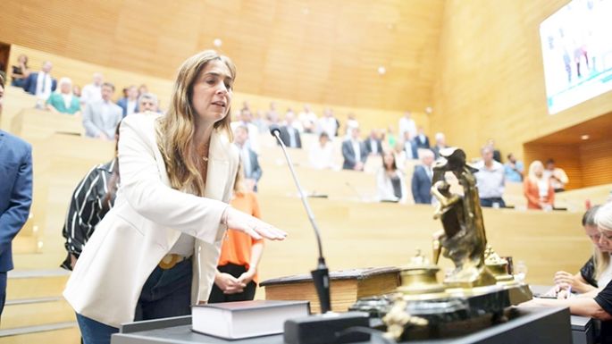 Designan a la legisladora Navarro como suplente