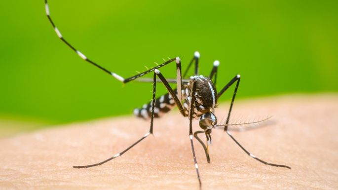 Tres personas internadas con dengue en el Hospital