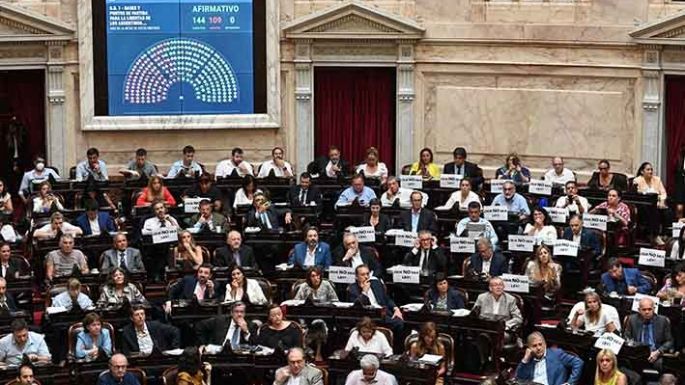 Aprobaron la Ley Ómnibus en general
