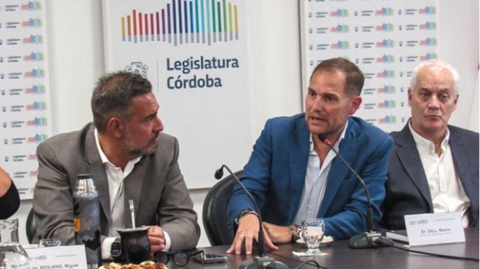 El ministro Gill expuso ante los legisladores