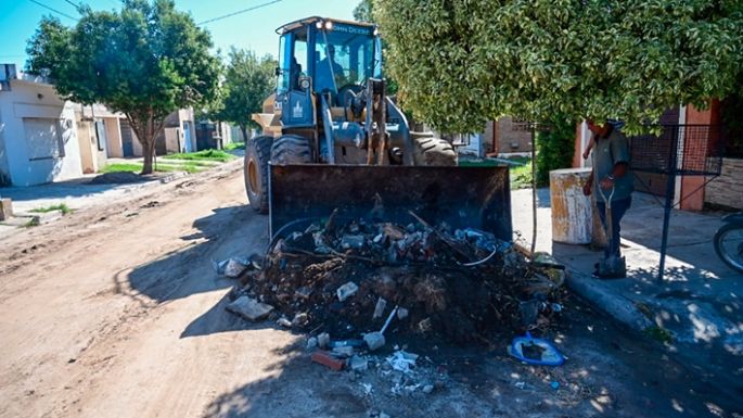 Todos contra el dengue
