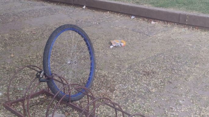 Insólito robo de una bici en inmediaciones del Colegio Nacional  