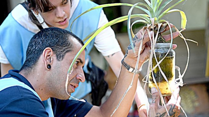 Dengue: ya hay 341 infectados