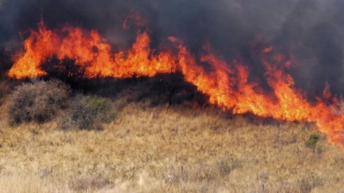 Expertos analizan el impacto de los incendios en el campo