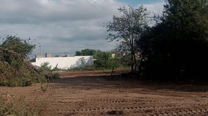 [Video] "Indignación" de vecinos porque pasaron topadoras por sobre vegetación nativa