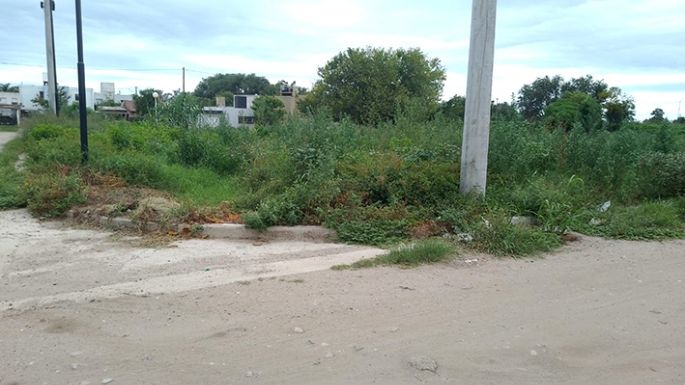 Malezas y basura