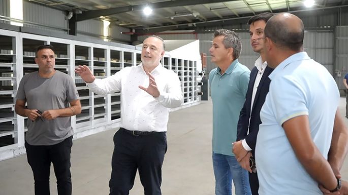 Apuntan a cubrir el 50% de la demanda provincial de maples